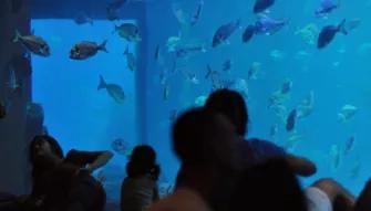 Palma Aquarium Palma Aquarium