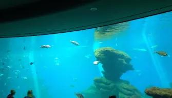Palma Aquarium Palma Aquarium