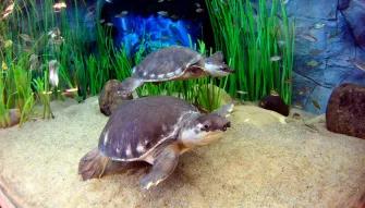 Poema del Mar One Day Ticket