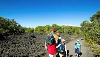 Rangitoto Volcanic Explorer Tour Rangitoto Volcanic Explorer Tour