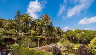 Sagrada Familia and Gaudi Tour Sagrada Familia and Gaudi Tour