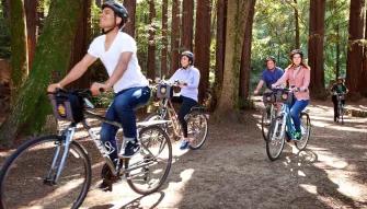 San Francisco Self-Guided Bike Tour (24-Hour Rental)