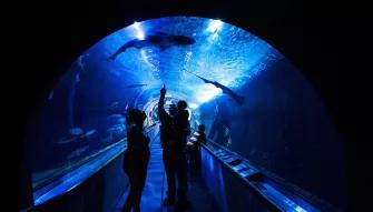 San Francisco CityPASS