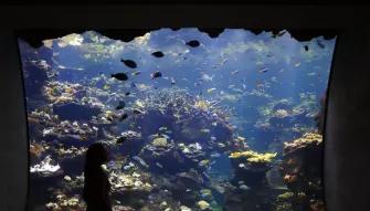 San Francisco CityPASS