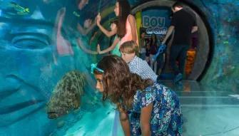 SEA LIFE Orlando SEA LIFE Orlando