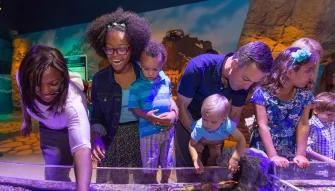 SEA LIFE Orlando SEA LIFE Orlando