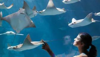 SeaWorld Parks & Entertainment® SeaWorld Parks & Entertainment®