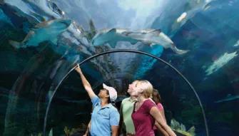 SeaWorld Parks & Entertainment® SeaWorld Parks & Entertainment®