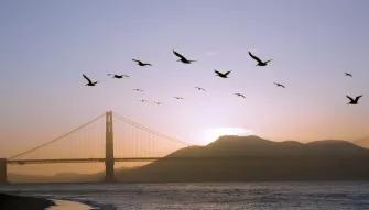 California Sunset San Francisco Bike Tour California Sunset San Francisco Bike Tour