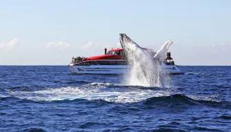 Sydney Flexi Attractions Pass