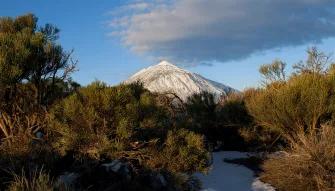 Mount Teide Cable Car Skip-the-Line Ticket with Audioguide