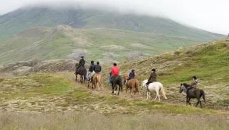 The Viking Horse and Golden Circle Afternoon
