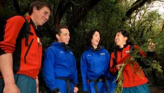 Franz Josef Glacier Valley Walk Franz Josef Glacier Valley Walk