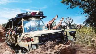 Disney's 14 Day Ultimate Ticket with Memory Maker (hotels)