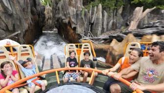 Disney's 14 Day Ultimate Ticket with Memory Maker (hotels)