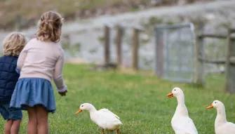 Walter Peak High Country Farm