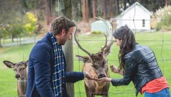 Walter Peak High Country Farm