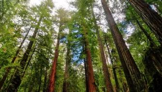 Yosemite National Park in a Day Yosemite National Park in a Day