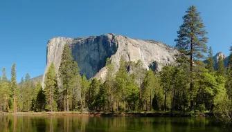 Yosemite National Park in a Day