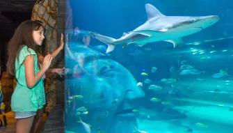 Sea Life Orlando Tickets