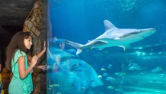 Sea Life Orlando Tickets