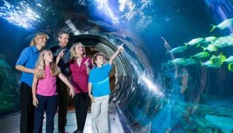 Sea Life Orlando Tickets