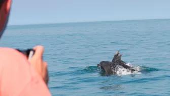 Dolphin Watching for Two - Experience Voucher 