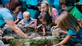 Sea Life Orlando Tickets