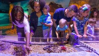 Sea Life Orlando Tickets