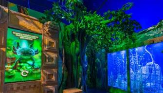 Sea Life Orlando Tickets