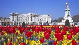 Buckingham Palace with Royal Mews Tickets