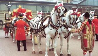 Buckingham Palace with Royal Mews Tickets