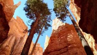 Bryce Canyon National Park Day Trip Bryce Canyon National Park Day Trip