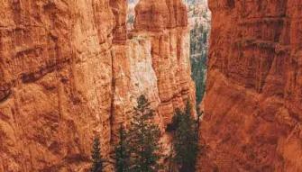 Bryce Canyon National Park Day Trip Bryce Canyon National Park Day Trip