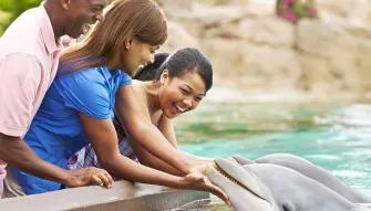 SeaWorld Orlando Dolphin Encounter SeaWorld Orlando Dolphin Encounter
