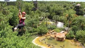 Gatorland zipline
