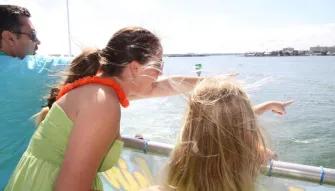 Dolphin Encounter Cruise in Clearwater