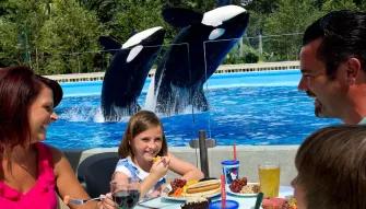 Dine with Killer Whales at SeaWorld Orlando