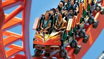 Tigris at Busch Gardens Tampa Bay