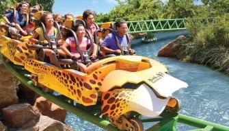 Cheetah-Hunt at Busch Gardens Tampa Bay
