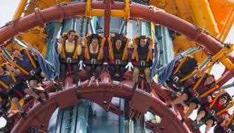 Falcons Fury at Busch Gardens Tampa Bay