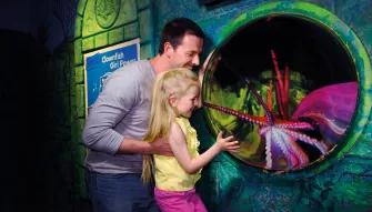 Girl viewing an octopus at Sea Life London Aquarium.jpg
