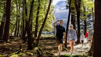 Dart River Wilderness Safari