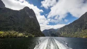 Doubtful Sound Cruise Queenstown