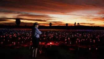 A Night at Field of Lights