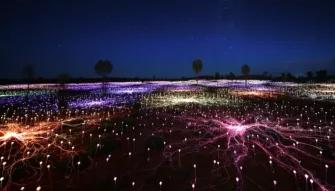 A Night at Field of Lights