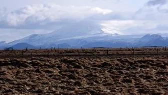 Super Jeep South Coast Tour