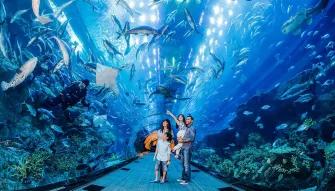 Dubai aquarium included with the Dubai Explorer Pass