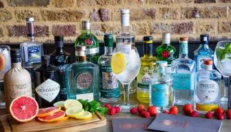 Gin Masterclass