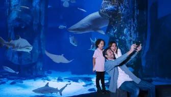 Family photo in front of the shark tank at SEA LIFE London Aquarium.jpg